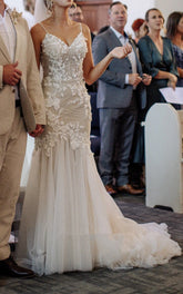 Beach Sexy Mermaid Lace Wedding Dress with Tull Court Train V-neck Open Back